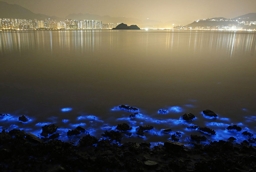 شواطىء هونج كونج المتوهجة بالازرق