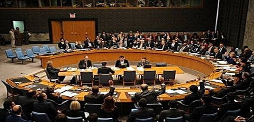 مجلس الأمن يدعو الدول المجاورة لنيجيريا إلى تكثيف تصديها لبوكو حرام