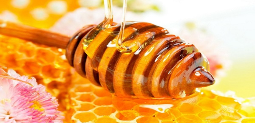 البصل والثوم والعسل الأبيض أفضل المضادات الحيوية الطبيعية