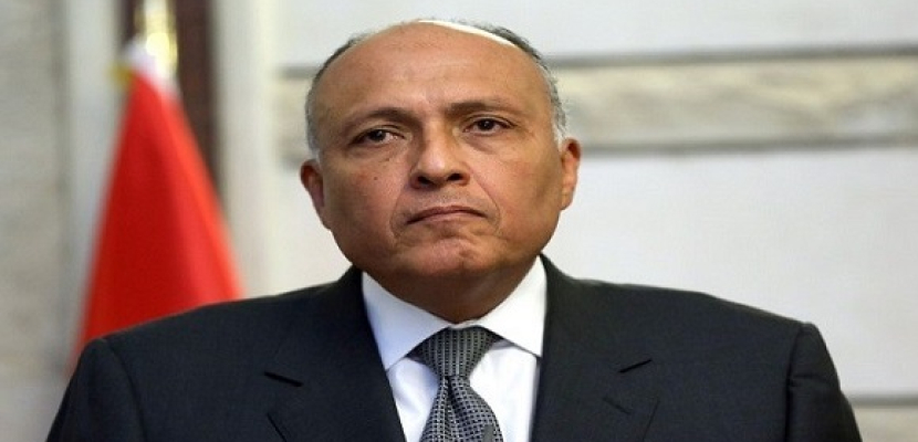 وزير الخارجية يبحث تعزيز التعاون مع نظيره الجزائري