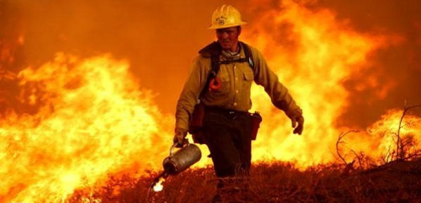 تحرق غابة “للترفيه” عن رجال الإطفاء