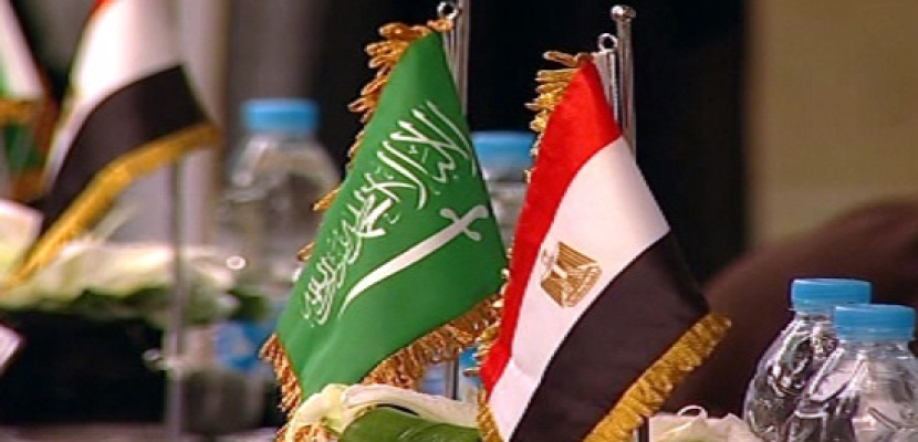 تحالفات سعودية  مصرية لتوسيع استثمارات النشاط الصناعي الغذائي