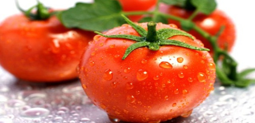 دراسة: الطماطم تكافح الشيخوخة وأمراض القلب