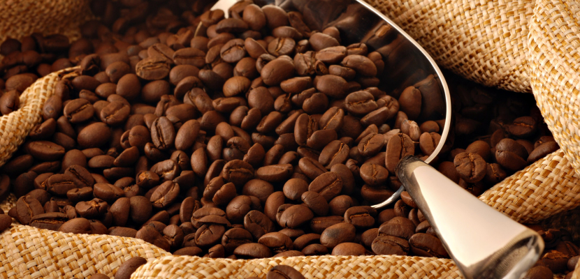 العلماء يفكون شفرة جينوم القهوة ويكشفون أسرارها