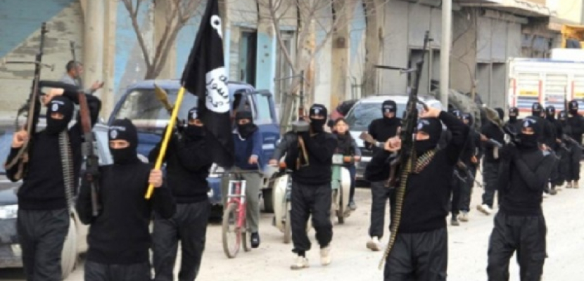 المرصد السوري: مقتل 14 ارهابيا من “داعش” باشتباكات في عين العرب