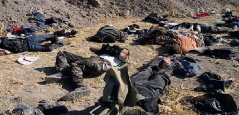 مقتل 20 من “داعش” فى اشتباكات مع البيشمركة بكركوك