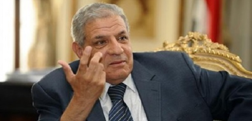 محلب: مصر تتعرض لموجة قوية من الإرهاب طالت فرنسا أيضا