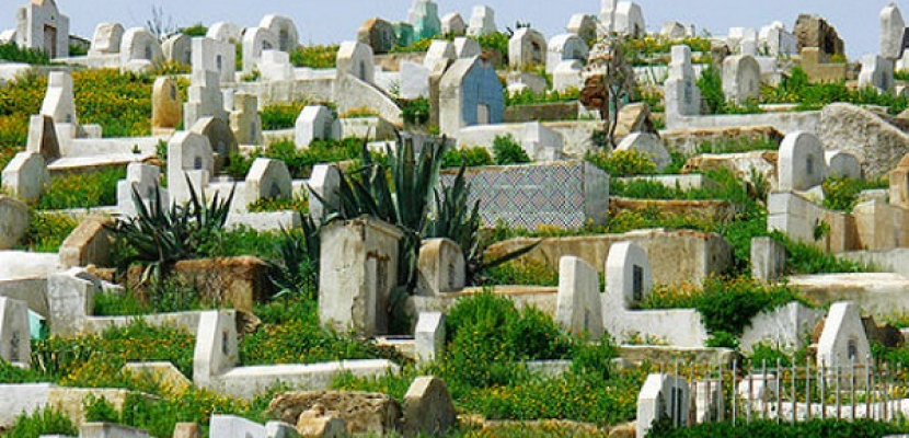العثور على مقبرة “سلتيه” ترجع إلى القرن الخامس قبل الميلاد