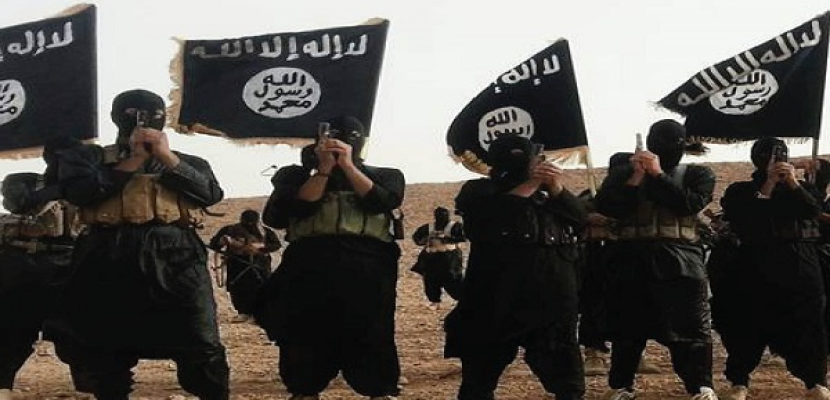 المرصد السوري: تنظيم داعش  قتل 17 شخصا في تدمر