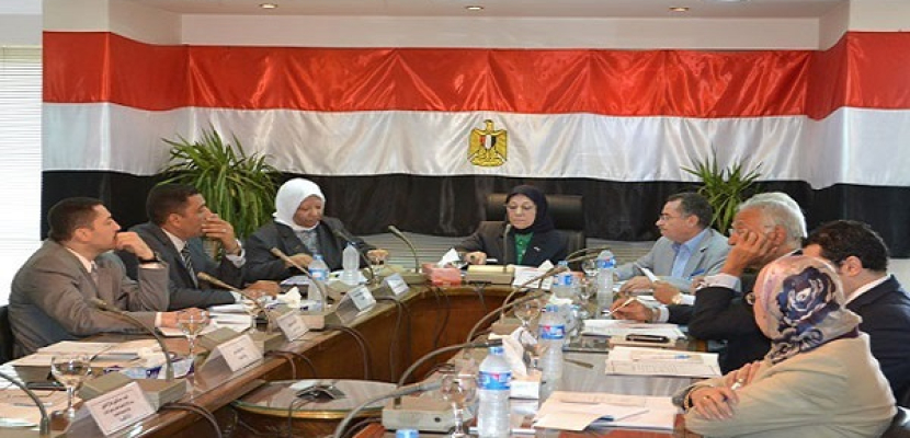عشري: الانتهاء من مشروع قانون تنظيم الهجرة ورعاية المصريين بالخارج