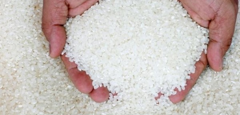 الحكومة تقرر وقف تصدير الأرز وتحدد 2400 جنيه لسعر الطن
