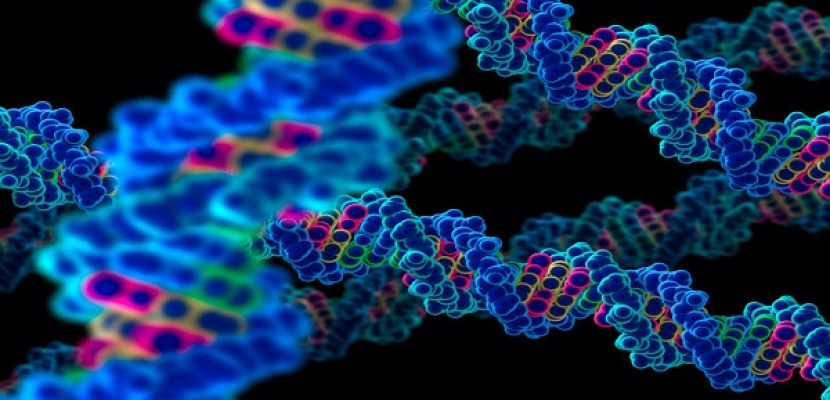 العلماء يحددون لأول مرة الجينات المسببة لمرض الزهايمر