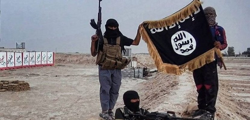مقتل 19 من داعش بنيران القوات العراقية بالأنبار
