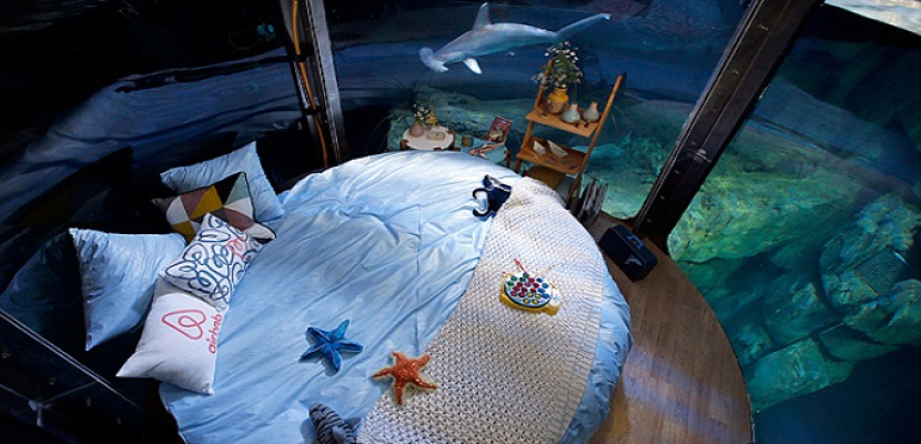للباحثين عن أجواء مختلفة..غرفة باريسية للنوم وسط أسماك القرش