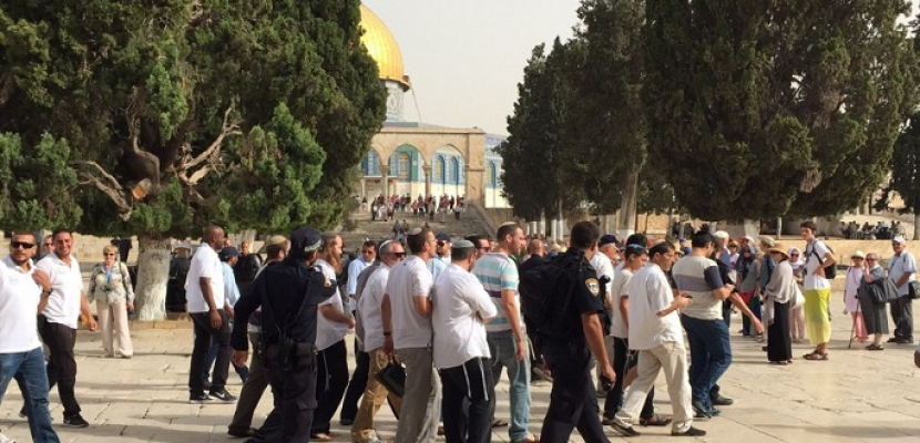 عشرات المستوطنين اليهود يقتحمون المسجد الأقصى في حراسة الشرطة الإسرائيلية