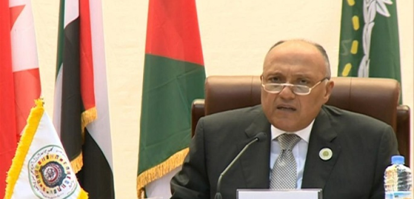 وزراء الخارجية العرب في نواكشوط يتعهدون بدحر الإرهاب