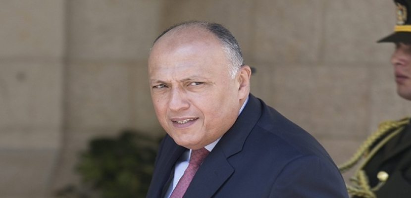 «شكري» يرأس أول مشاركة مصرية في اجتماعات وزراء خارجية مجموعة العشرين