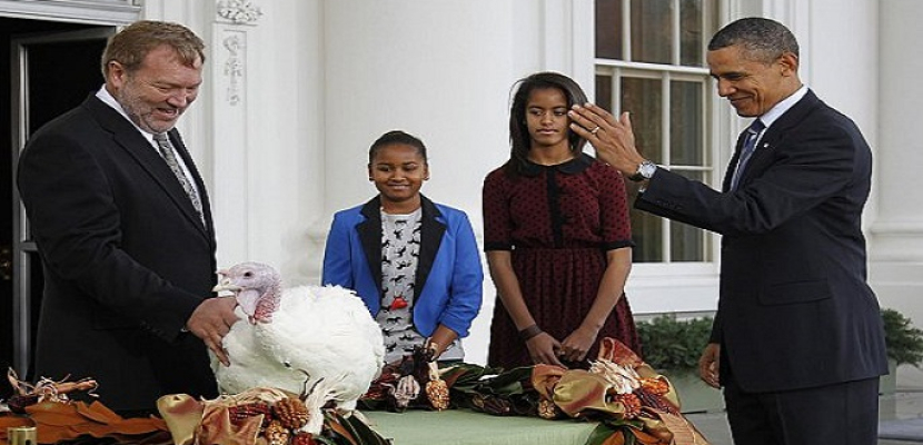 أوباما يعفو عن «ديك رومي» بمناسبة عيد الشكر