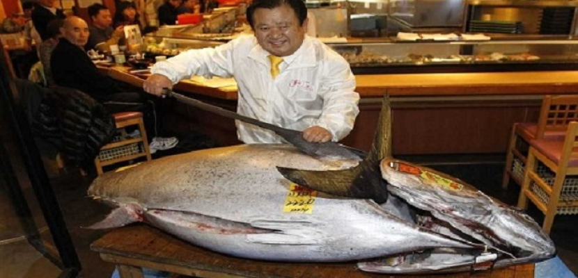 بيع سمكة تونة بـ 74 مليون ين في اليابان