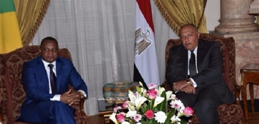 شكري يبحث الأوضاع في ليبيا مع وزير خارجية الكونغو برازافيل