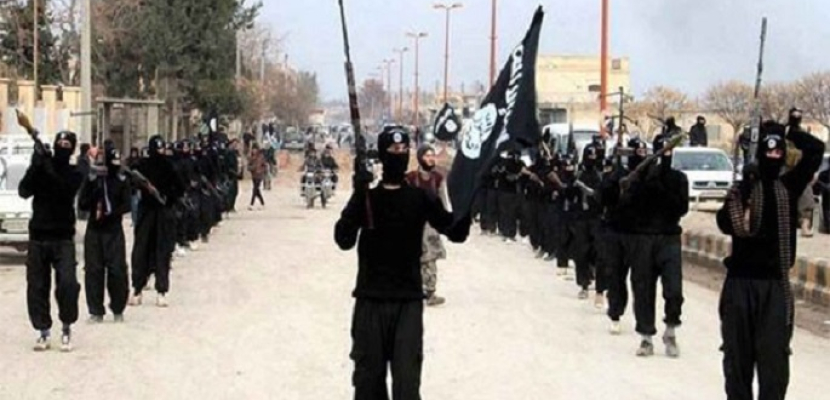 مصدر أمني عراقي: داعشي يفجر نفسه وسط عدد من قادته في الأنبار