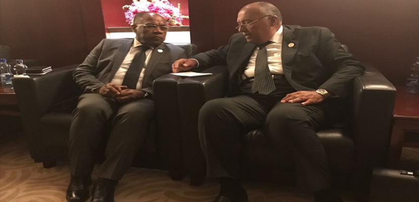 وزير الخارجية يبحث العلاقات الثنائية والإقليمية مع وزير خارجية الكونغو الديمقراطية