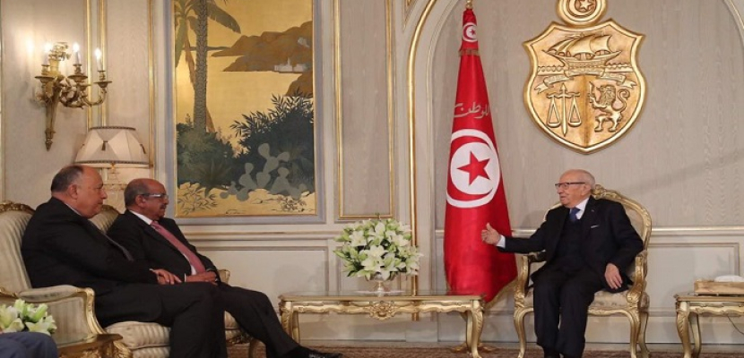 شكري يختتم زيارته لتونس عقب مباحثات مع السبسي حول آخر التطورات في ليبيا