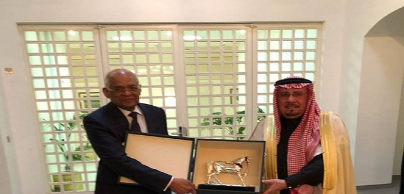 رئيس النواب: مصر تدعم جهود السعودية ومبعوث الأمم المتحدة لحل الأزمة في اليمن
