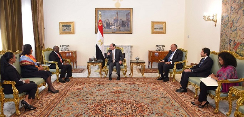 بالصور .. الرئيس السيسى يؤكد حرص مصر على تعزيز علاقتها الوثيقة مع أشقائها الأفارقة