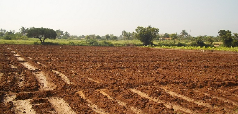 الزراعة تطرح اليوم 31 قطعة أرض في 6 محافظات للبيع في المزاد