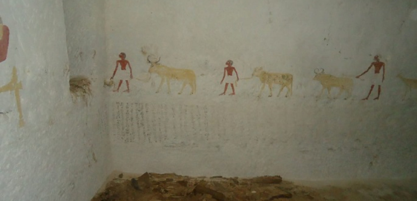 الآثار: العثور على حجرات دفن مقبرتي ريموشتني وباكت الثاني بالمنيا