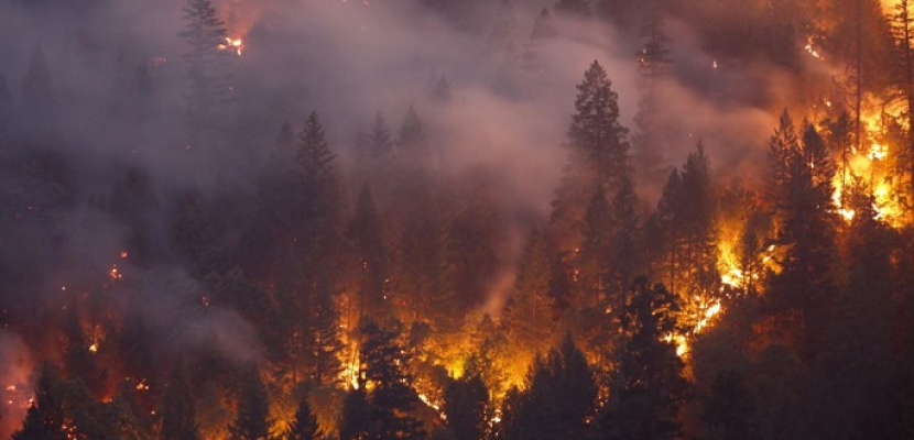 إخماد 51 حريقا على مساحة أكثر من 13 ألف هكتار من غابات روسيا