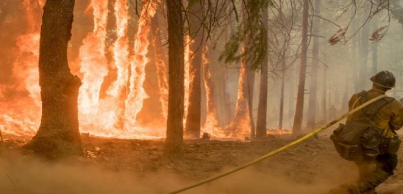 كاليفورنيا: إجلاء نحو 240 ألف شخص لحمايتهم من خطر الحرائق والولاية تتلقى مساعدات لمكافحتها
