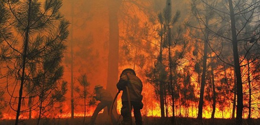 إجلاء نحو 700 شخص جنوب نيوزيلندا بسبب حريق الغابات