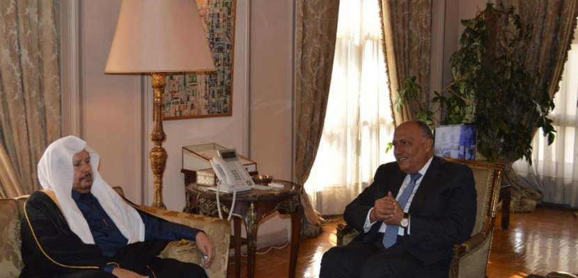 شكري يبحث علاقات مصر والمملكة مع رئيس مجلس الشورى السعودي