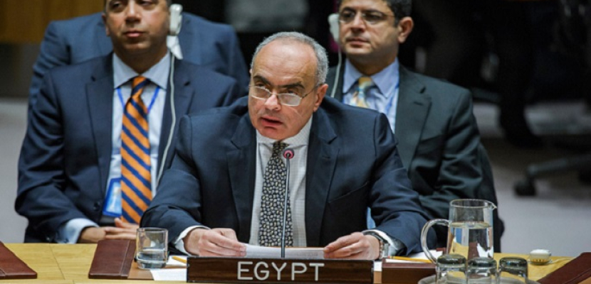 مصر تشدد على ضرورة محاسبة الأنظمة الداعمة للإرهاب
