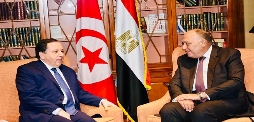 شكري يبحث مع نظيره التونسي آفاق العلاقات المشتركة والقضايا الإقليمية