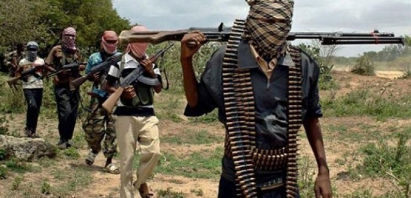 مقتل 13 مسلحا من “بوكو حرام” و4 مدنيين في جنوب شرق النيجر