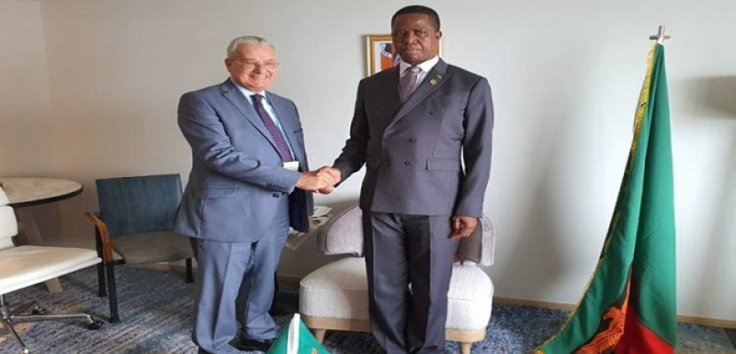 رئيس زامبيا يبحث التعاون فى المشروعات التنموية مع المقاولون العرب