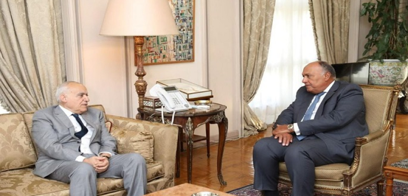 وزير الخارجية يبحث مع المبعوث الأممي إلى ليبيا سبل تفعيل المسار السياسي