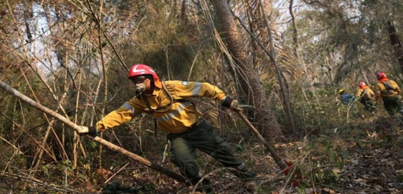 رجال الإطفاء في بوليفيا يفشلون في السيطرة على حرائق الغابات مع اتساع نطاقها