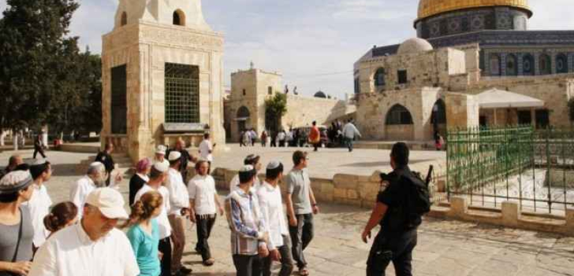75 مستوطنا يقتحمون المسجد الأقصى بحراسة شرطة الاحتلال