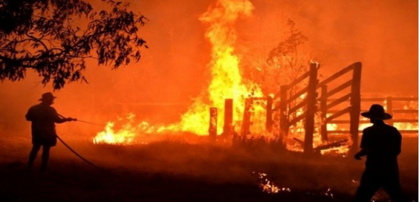 مصرع 15 على الأقل فى حرائق الغابات بالولايات المتحدة