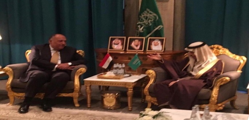 بالصور.. اتفاق مصري سعودي على رفض التصعيد التركي بشأن ليبيا
