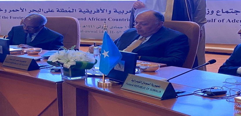 مصر توقع على ميثاق تأسيس مجلس الدول العربية والأفريقية المطلة على البحر الأحمر وخليج عدن