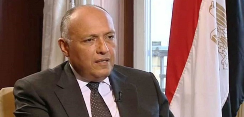 وزير الخارجية يؤكد تطلع مصر للاستمرار في تعزيز التعاون مع العراق