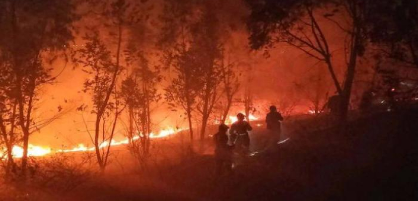 نشوب حريق غابات جديد بجزر إيفيا اليونانية