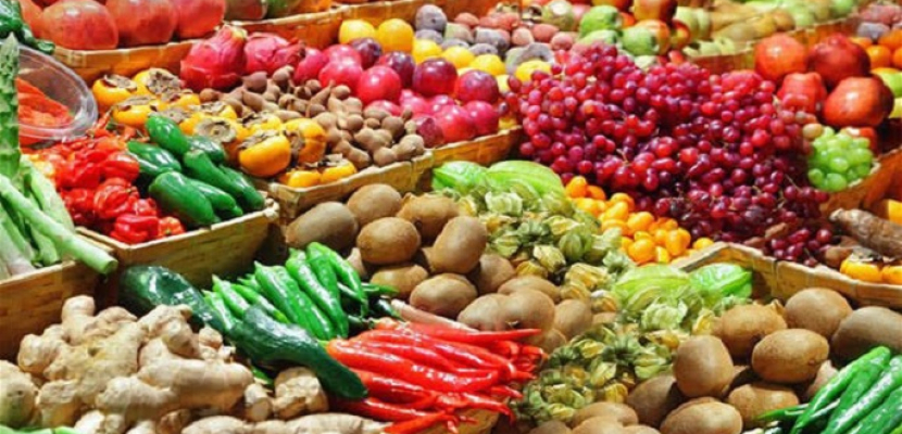 الزراعة: ارتفاع صادرات مصر الزراعية لأكثر من 3.6 مليون طن