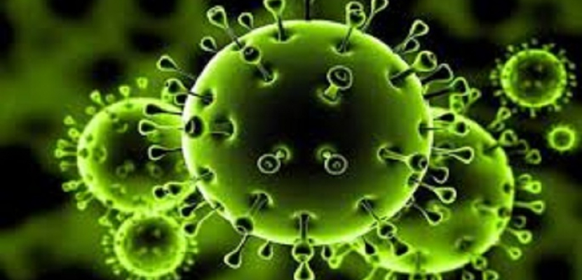 الصحة العالمية: كورونا فيروس طبيعي ينتقل من الحيوانات إلى الإنسان وليس مصنعا