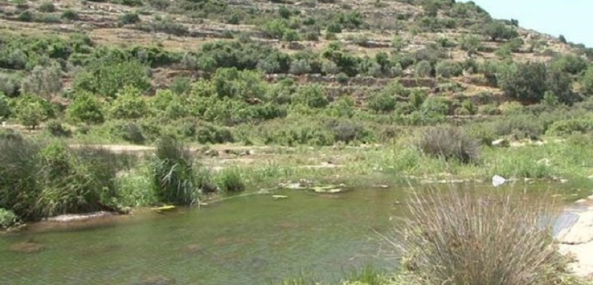 الاحتلال يسيطر على 36 منطقة في الضفة الغربية تحت مسمى «محمية طبيعية»